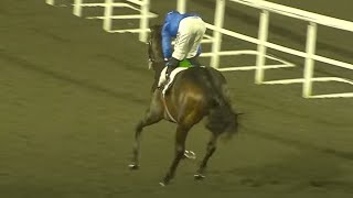 Vidéo de la course PMU UNIBET SUPPORTS SAFER GAMBLING MAIDEN STAKES