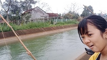 150K Cước Câu Cá Đổi Màu, Tàng Hình Trong Nước