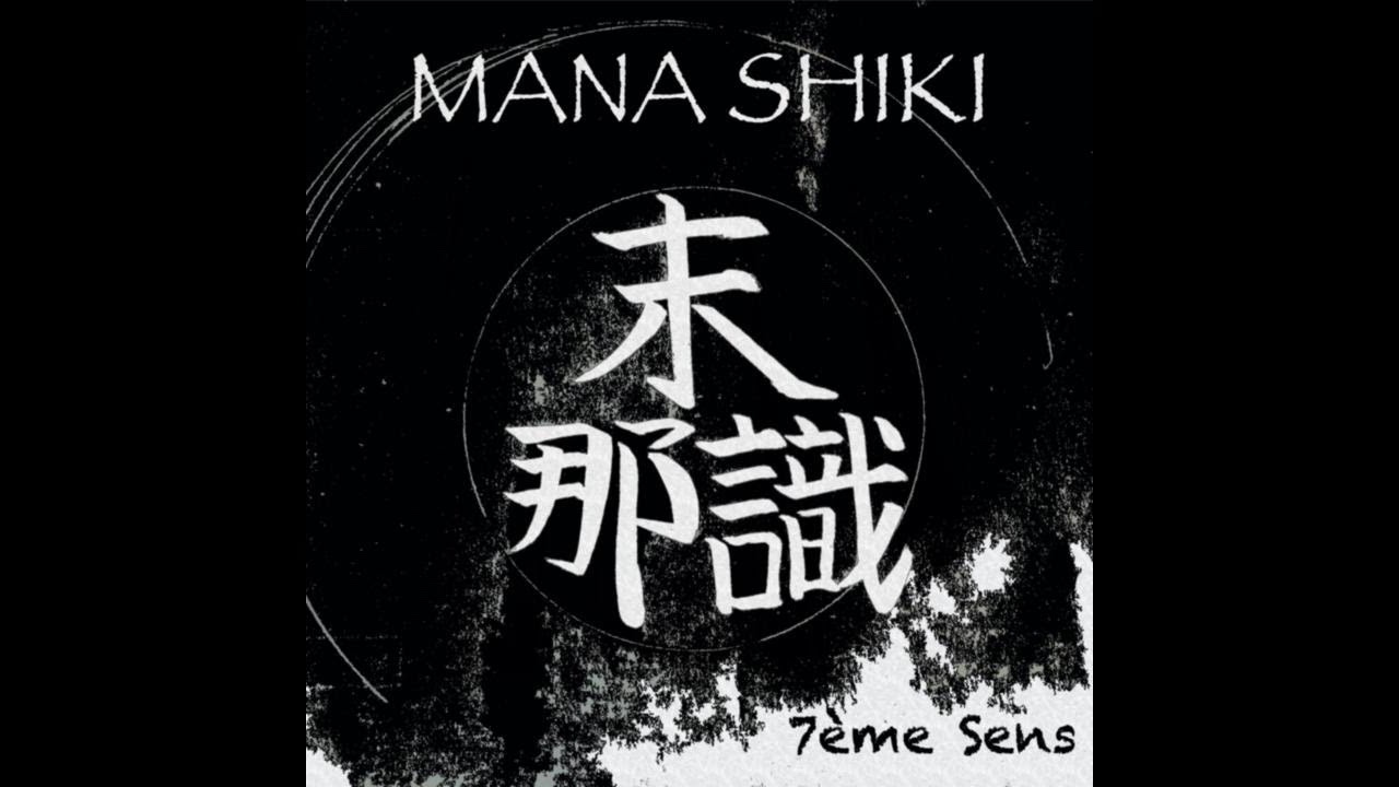 16. Règne Et Division - SKZ & Mugen (Prod. Bin Shetarr) (2019)