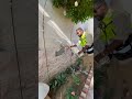 مشاكل الزراعة بدون عزل الحوائط