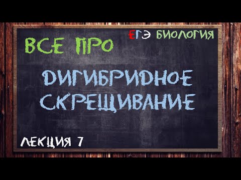 Л.7 | ДИГИБРИДНОЕ СКРЕЩИВАНИЕ | ГЕНЕТИКА | ОБЩАЯ БИОЛОГИЯ ЕГЭ