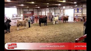 Stark County Fair Live Stream