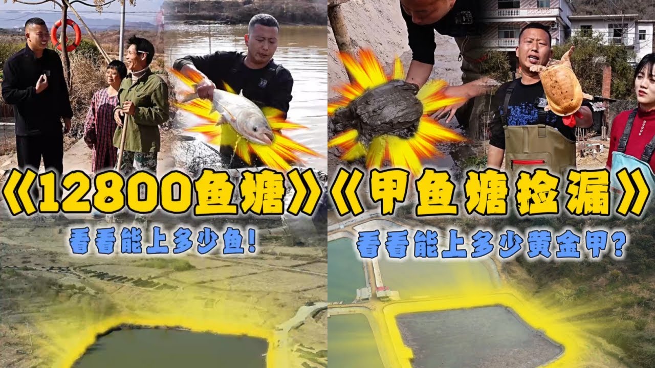 小飞哥花12800元包下叔叔家的鱼塘，看看到底能上多少鱼？｜花5000元在甲鱼塘里捡漏，看看能否找到塘主说的黄金甲鱼！｜#户外抓鱼 #户外捕鱼 #小飞哥抓鱼 #乡村生活 #农村生活