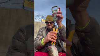 Leon River Smallmouth Bass