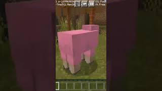 I Found Pink Sheep In Minecraft
