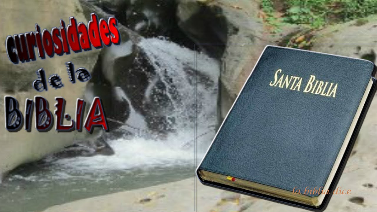 curiosidades de la biblia - YouTube