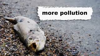 Donald Trump: Support Policies that Protect our Great Lakes in Michigan