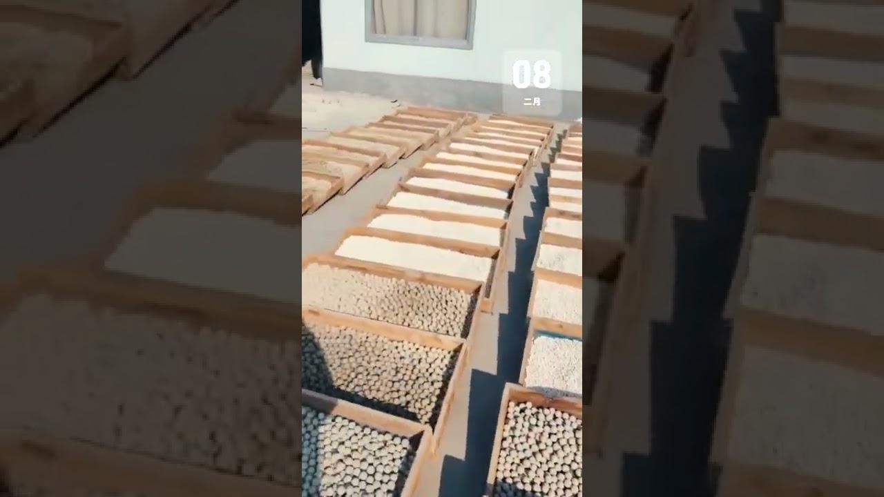 our bio ceramic ball for water purify factory