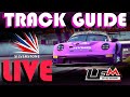 HOW TO BE FAST AT SIVERSTONE | TRACK GUIDE/TOUR LIVE | HYMO SETUPS