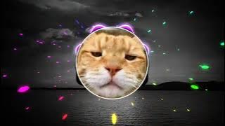 DJ mengejar mimpi selow beat _ viral remix 2021.