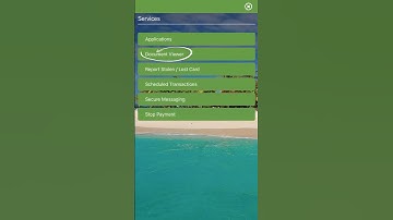 How To View Documents in Document Viewer