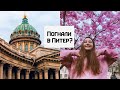 ВЫХОДНЫЕ В ПЕТЕРБУРГЕ / Чем заняться и куда сходить в Питере