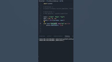 Python 3 | Easy Object Serialisation #python3 #coding #programming