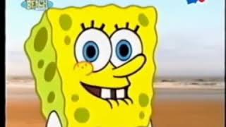 Nicktoons Summer Beach House: Credits Promos and Shorts (2002-2003) (RE-UPDATED)