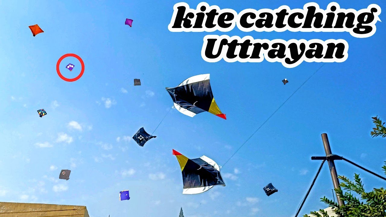kite catching* kite catching new video 😎 new tricks to caught kite 😱 YouTube