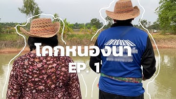 ฮักแพงแปลงเกษตรอินทรีย์ - โคกหนองนา EP.1 ชมโคกหนองนา