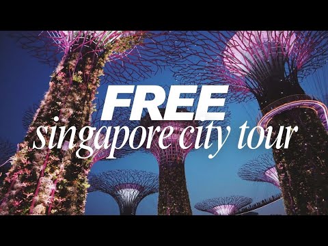 How to Get a FREE Singapore City Tour During Your Changi Layover (Step by Step Guide)