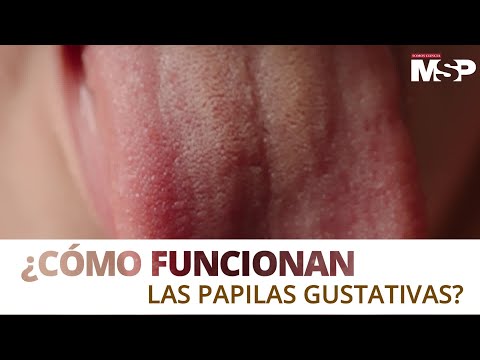 Video: ¿Por qué no hay papilas gustativas?