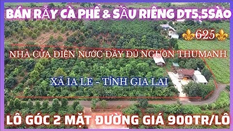BÁN RẪY CÀ PHÊ  & SẦU RIÊNG NHÀ CỬA ĐIỆN NƯỚC ĐẦY ĐỦ, LÔ GÓC 2 MẶT ĐƯỜNG NGUỒN THU MẠNH GIÁ 900TR/LÔ
