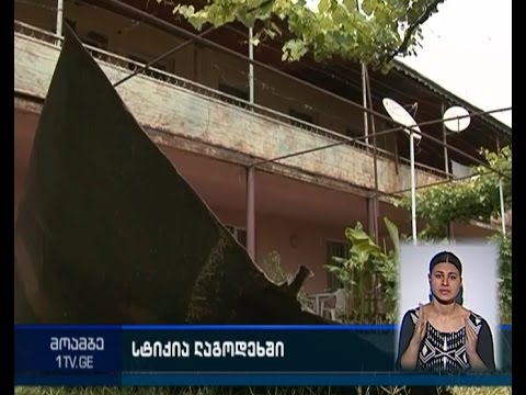 დატბორილი და სახურავის გარეშე დარჩენილი სახლები - სტიქია ლაგოდეხში