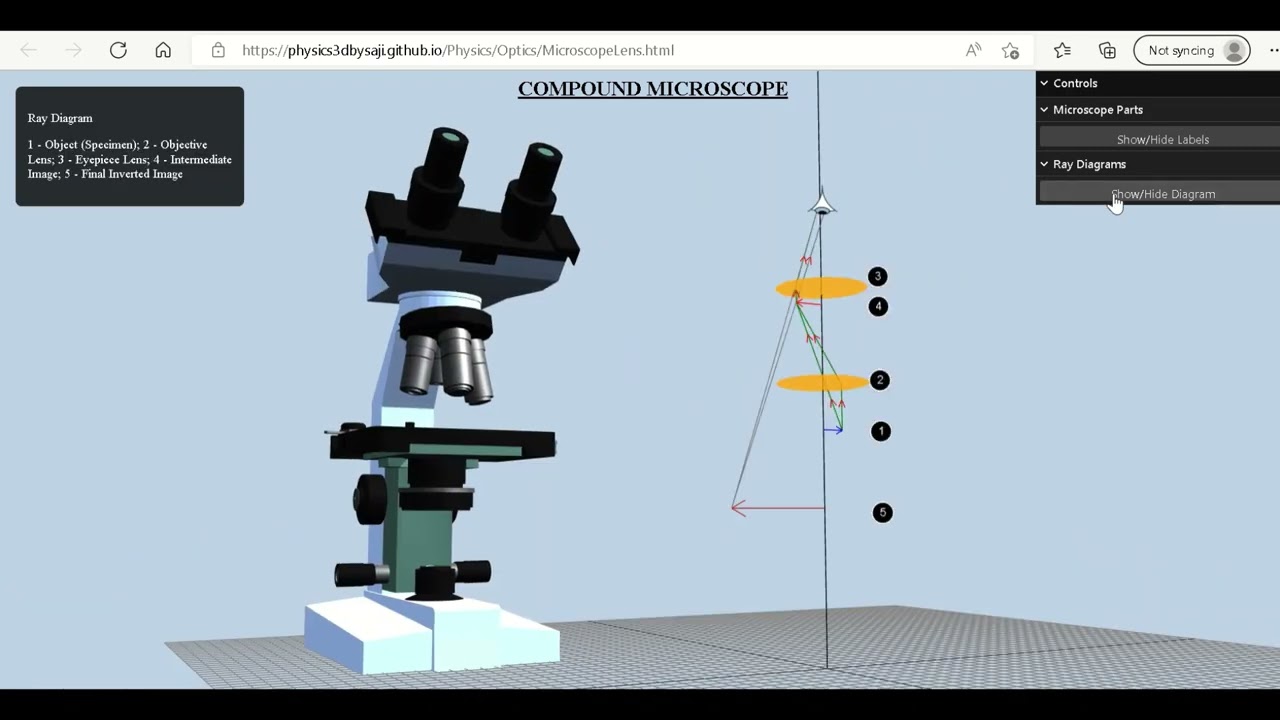 Interactive Physics  in 3D- Compound Microscope Ray Optics Optical Instruments  Physics E P Sajitha
