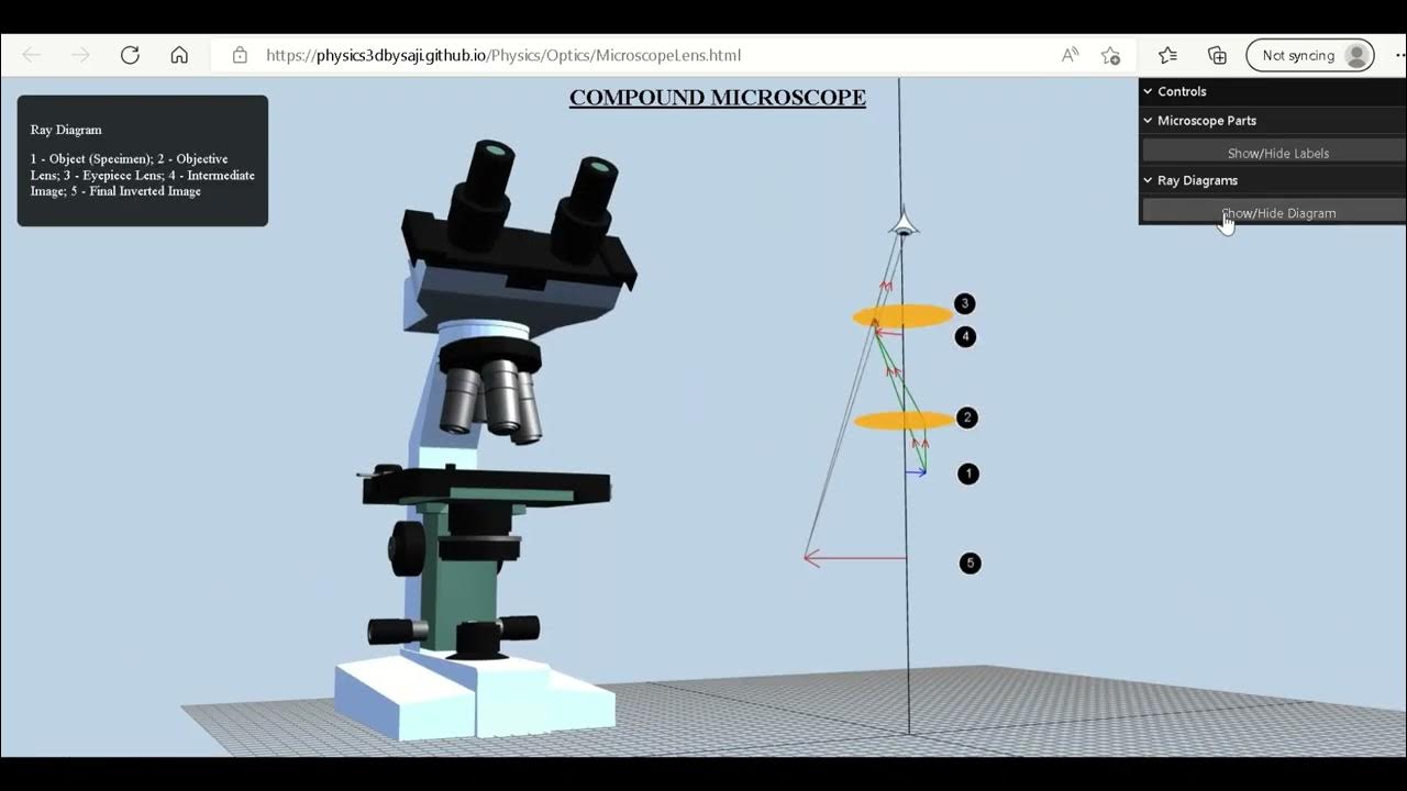 Interactive Physics in 3D Compound Microscope Ray Optics Optical