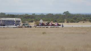 Aramac 20260822 Race 3