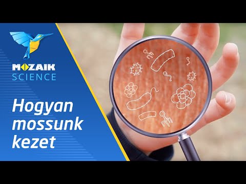 Videó: Hogyan Mossuk Az újszülötteket