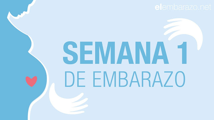 Semana 1 de embarazo | Primera semana de embarazo | El embarazo semana a semana