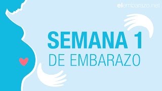 Semana 1 de embarazo | Primera semana de embarazo | El embarazo semana a semana