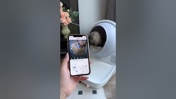 Never Scoop Again! CATLINK AI Scooper Ultra Review 😺✨