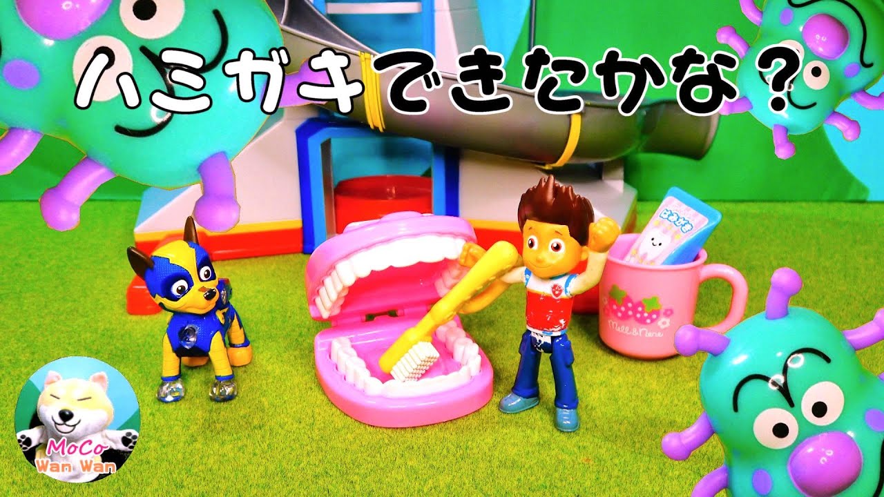 パワ　パトロールです PAW Patrol パウパトロール (#1086) チェイス、ちゃんとはみがき