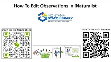 iNaturalist Editing Observations