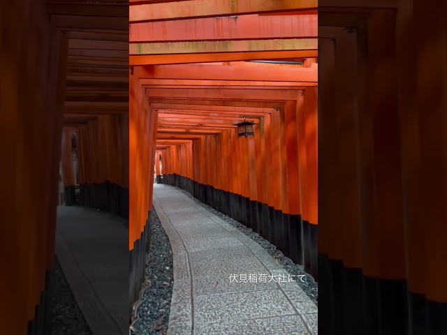 日本の夏 伏見稲荷大社にて Youtube 日本の夏 伏見稲荷大社にて Youtube