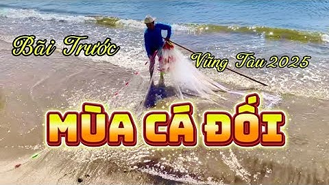 Du Lịch Vũng Tàu - Ra Bãi Trước Xem Lưới Cá Đối @hothuofficial7340 