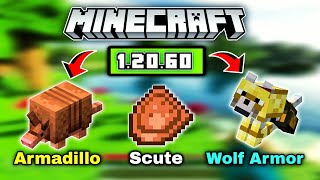 Minecraft 1.21 New Update | Armadillo & Wolf Armor is Here by C A Gaming 2,118 views 4 months ago 4 minutes, 41 seconds