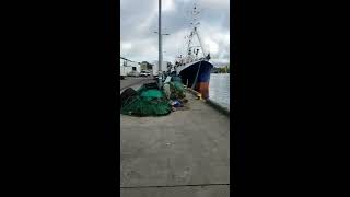 Dziwnów Belona Port Rybacki Mark Marek Chmielewski