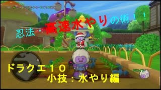ドラクエ10 ちょっとした小技 畑の水やり編 Youtube ドラクエ10 ちょっとした小技 畑の水やり編 Youtube