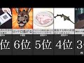 バカすぎる犯人たちの行動 バカすぎる犯人たちの行動
