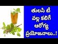 Amazing Health Benefits Of Basil Tea | Benefits Of Tulsi | Manandari Health