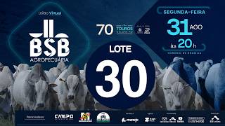 30 - LEILÃO VIRTUAL GENÉTICA TOUROS BSB AGROPECUÁRIA 31/08/2026