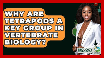 Why Are Tetrapods A Key Group In Vertebrate Biology? - Biology For Everyone