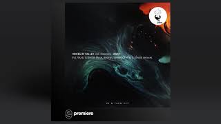Premiere: Voices Of Valley feat. Eleonora - Away (Original Mix) - Us & Them Records