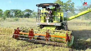 Dhan Ki Fasal Katai Full Video Vishal Combine435 #new #harvestar #farming #vishalcombine #harvesting