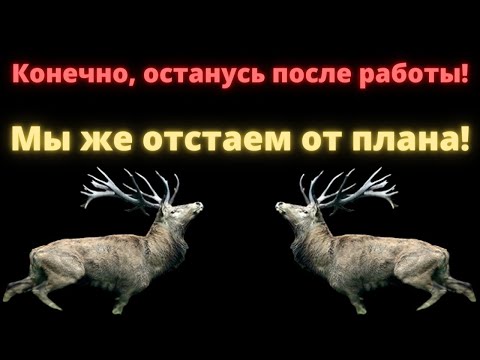 Алени и успешный успех / Как устроено сознание Аленя