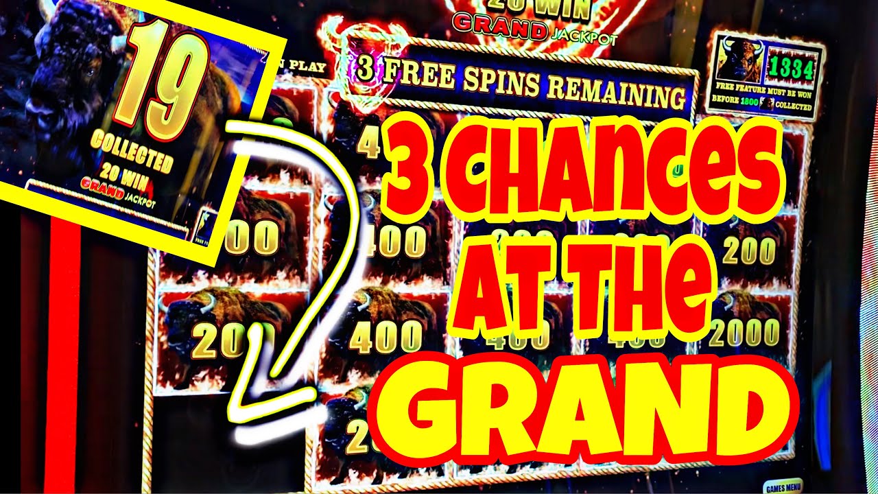 BUFFALO LINK BONUSES  🦬💥 Chance for the GRAND 🦬💥 Plainridge Park Casino 