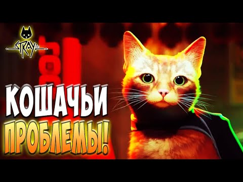Furry Adventures! - Stray #1