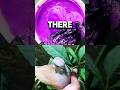 What’s The Craziest Brive A Student Gad Done?#@Matenbe #birds #birdsong #birdslovers #birdsounds