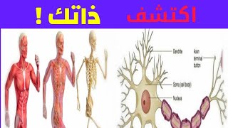 شاهد قدرة الله ، معجزات الجسم البشري ، حقائق مذهلة عن جسم الإنسان