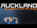 Auckland At Least It Can Kill Subs